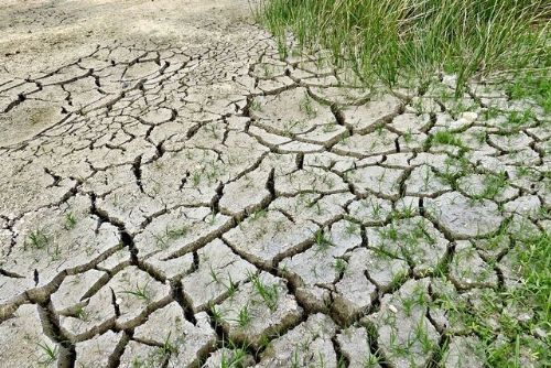 Plzeňský kraj vyrobil o třetinu méně pitné vody. Podzemní zdroje spadly na polovinu