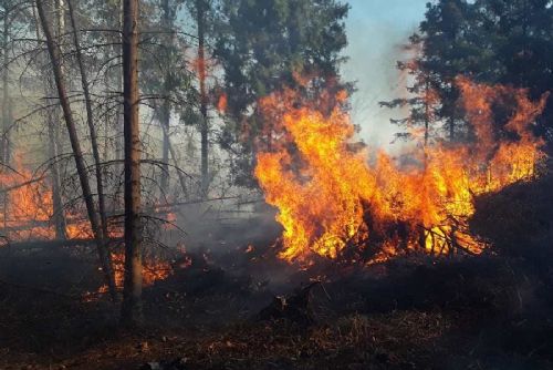 Požárů v přírodě rychle přibývá. Jaro přináší zvýšené riziko