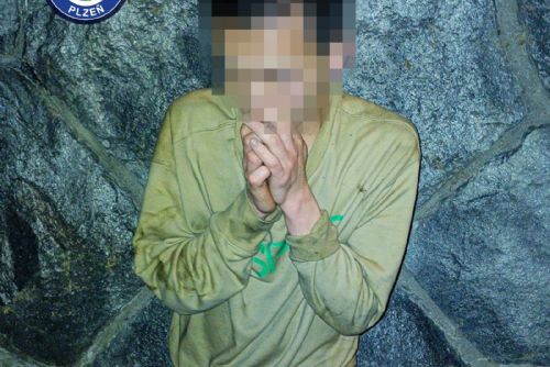 Skočil do řeky, aby utekl strážníkům. V Plzni dopadli hledaného cizince