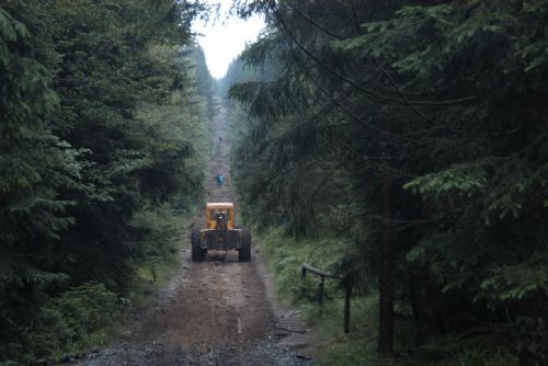 Stezka u Černého jezera je kvůli kůrovci uzavřená až do konce března