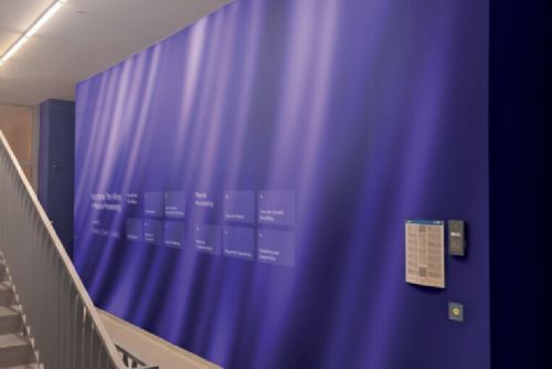 Digitální stěny? Na ZČU je to realita, Sutnarka s FAV spolupracují na unikátním projektu