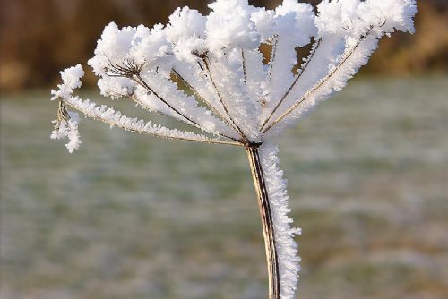 Zima se ještě jednou vrátí. Na horách napadne sníh, dorazit mohou i mrazy