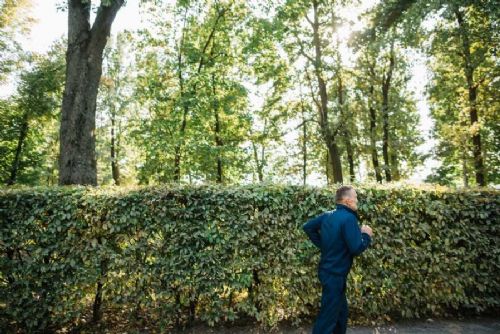 Zimostráz čelí rizikům: ohrožují ho sucho i zavíječ