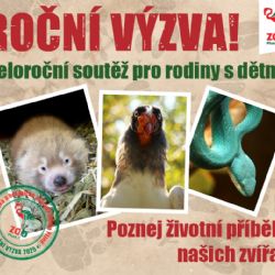 Zoo Plzeň láká rodiny na unikátní safari výzvu - poznej zvíře, získej odměnu