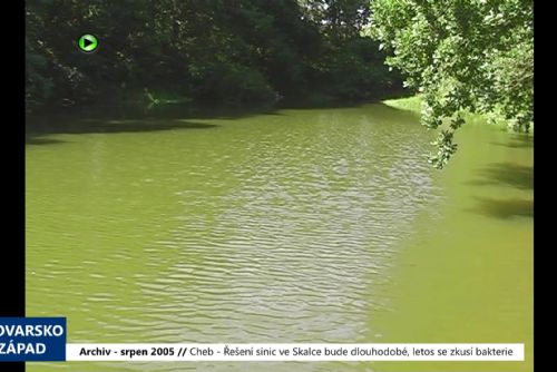 2005 – Cheb: Řešení sinic ve Skalce bude dlouhodobé, letos se zkusí bakterie (TV Západ)