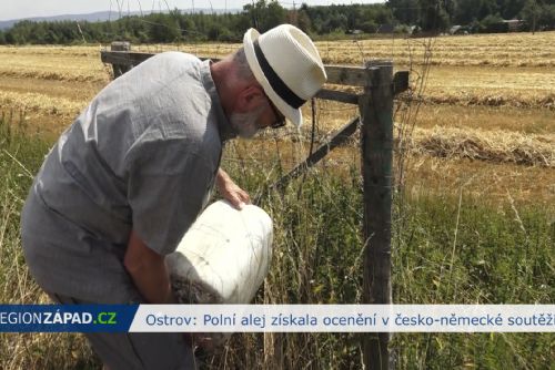 Ostrov: Polní alej získala ocenění v česko-německé soutěži (TV Západ)