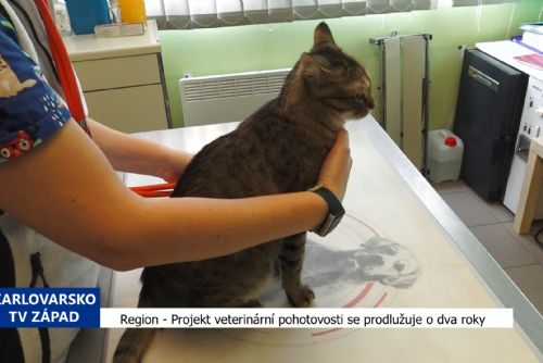 Region: Projekt veterinární pohotovosti se prodlužuje o dva roky (TV Západ)