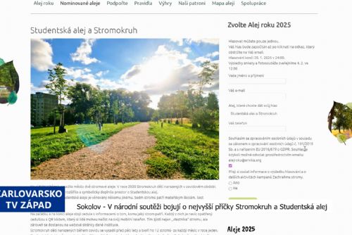Sokolov: Stromokruh a Studentská alej v soutěži Alej roku (TV Západ)
