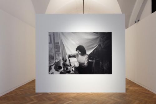 Alšova galerie láká na jedinečnou výstavu Bartuszové: organika a ekologie v Hluboké!