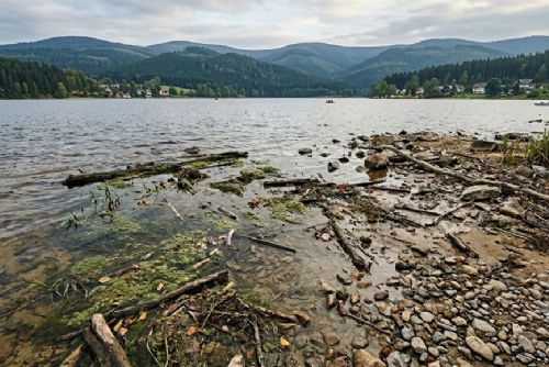 Lipenská přehrada řeší výskyt bentických sinic, vědci zatím hledají příčinu
