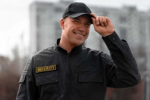 Nedostatek policistů: Asistenti a agentury snižují kriminalitu