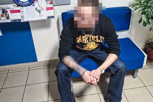 Pět hledaných během pár dnů. Strážníci v Plzni opět využili místní znalost