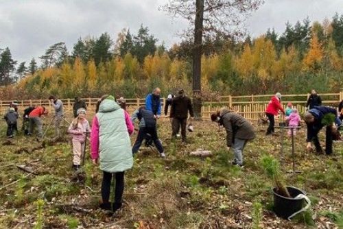 Plzeň zve na Den pro les. U Boleváku budou dobrovolníci sázet tisíce stromků