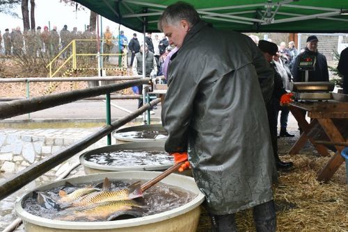Prodej ryb zahájen - kapr a další ryby za loňské ceny