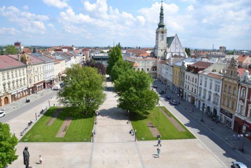 Střet o kácení stromů: Habr vs. Dub v centru debaty