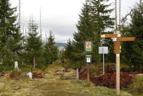 Šumava otevře turistickou stezku na Modrý sloup