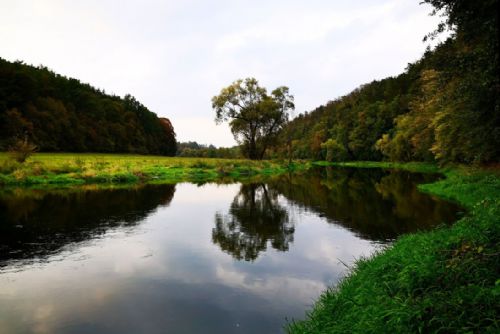 V řekách je málo vody. Plzeň připravuje záložní odběr z Radbuzy