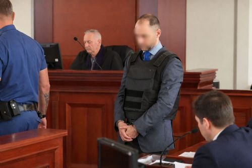 Vraždící exprimář může za mřížemi dál pracovat jako lékař