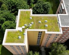 Plzeň podpoří zelené střechy až milionem korun. Zájemcům poradí odborný seminář
