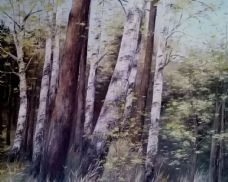 Hrad Švihov otevře výstavní síň. Představí obrazy Jany Havlíkové z Třemošné