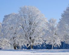 Rokytská slať na Šumavě naměřila -28,3 °C, jak bude o víkendu?