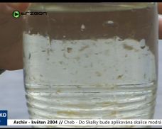 2004 – Cheb: Do Skalky bude aplikována modrá skalice (TV Západ)